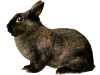 Captcha image 3518