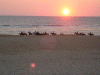Captcha image 3714